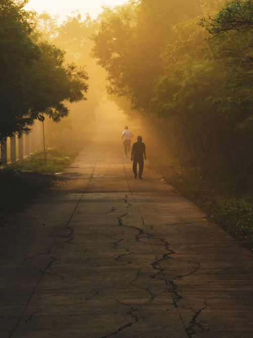 Free Silhouetted figures walk through a foggy, golden-lit pathway in Pune, India, during winter. Stock Photo