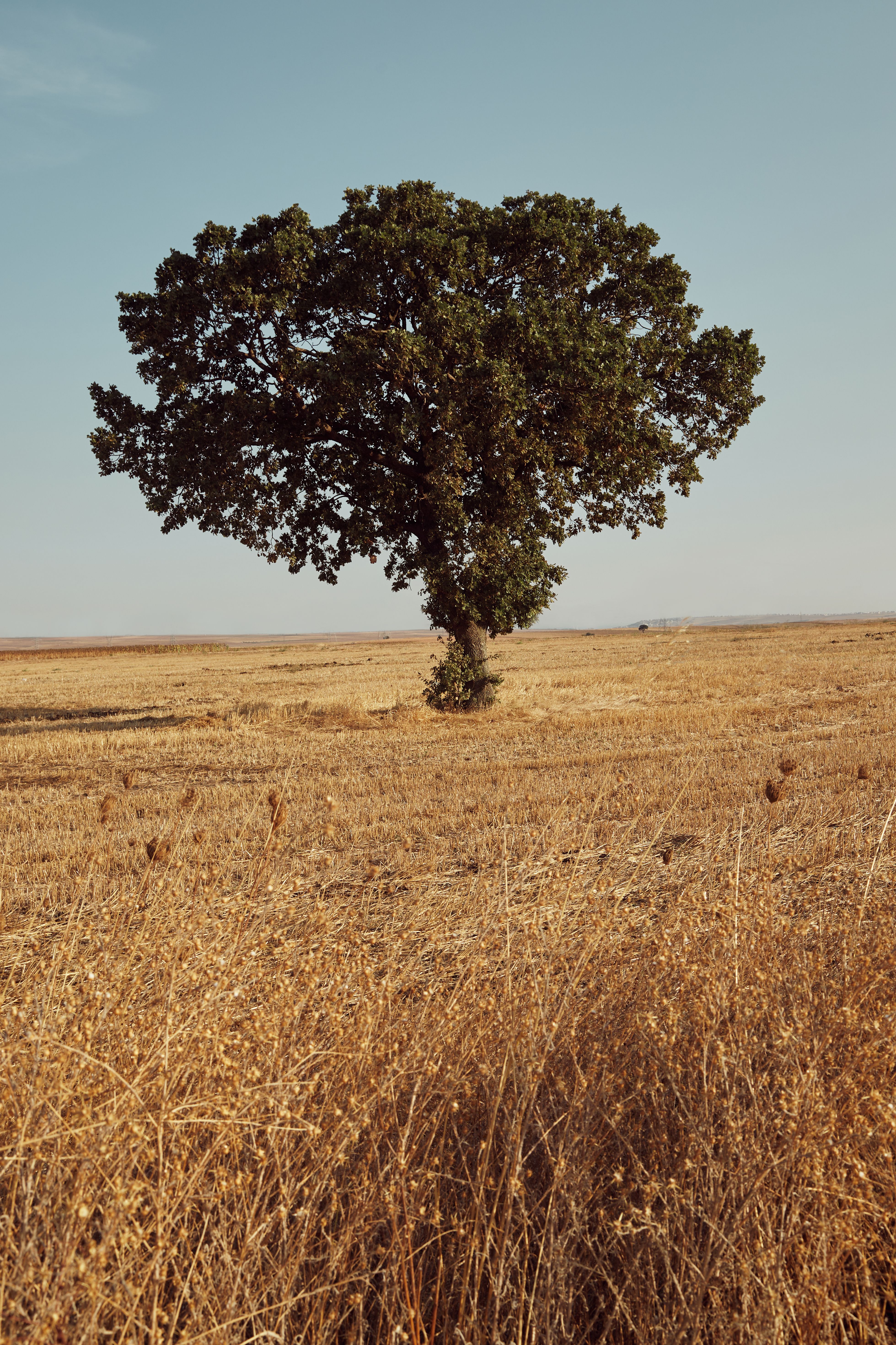Fotomural Fotolia