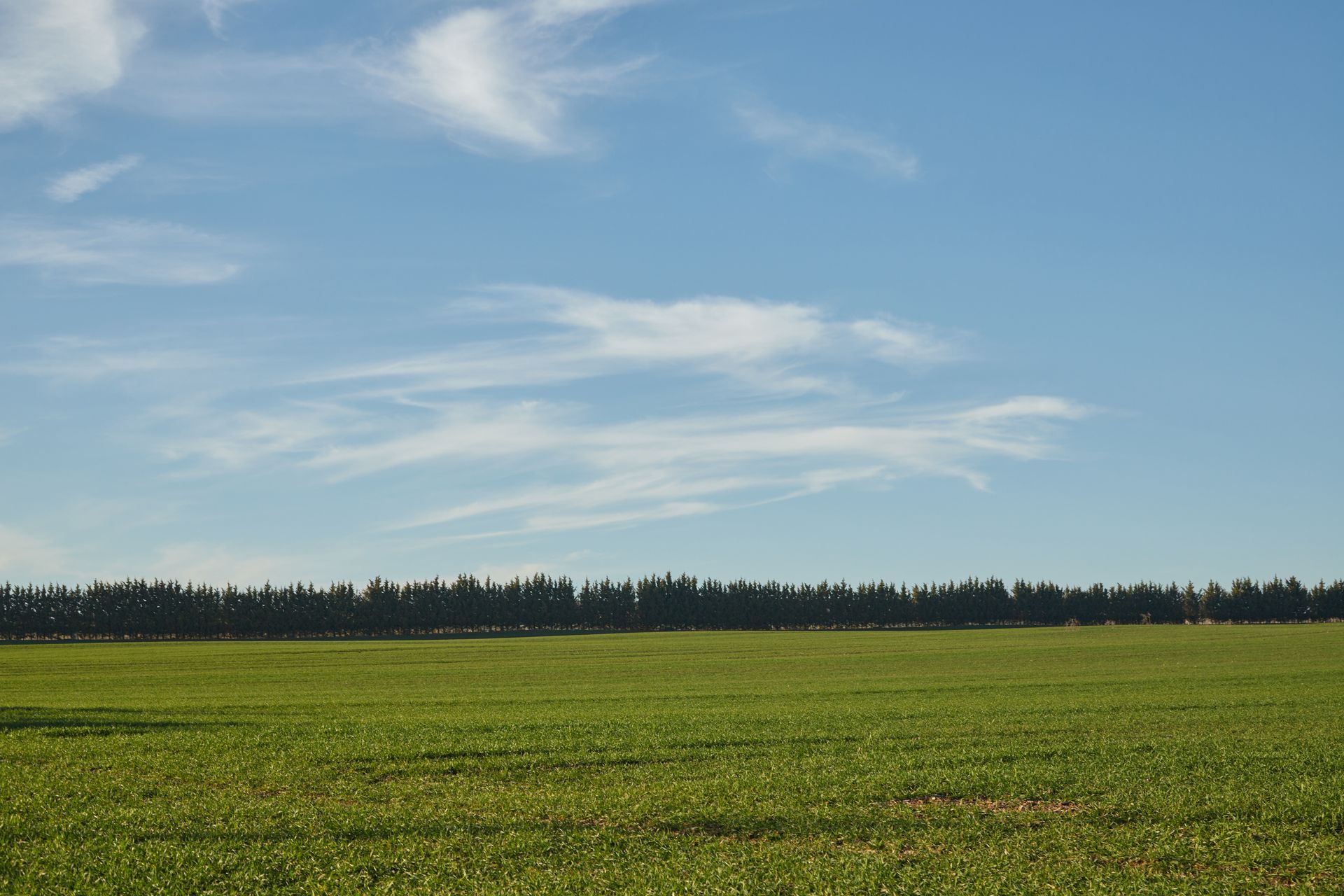 Free stock photo of 4k nature, 4k video nature, above the clouds