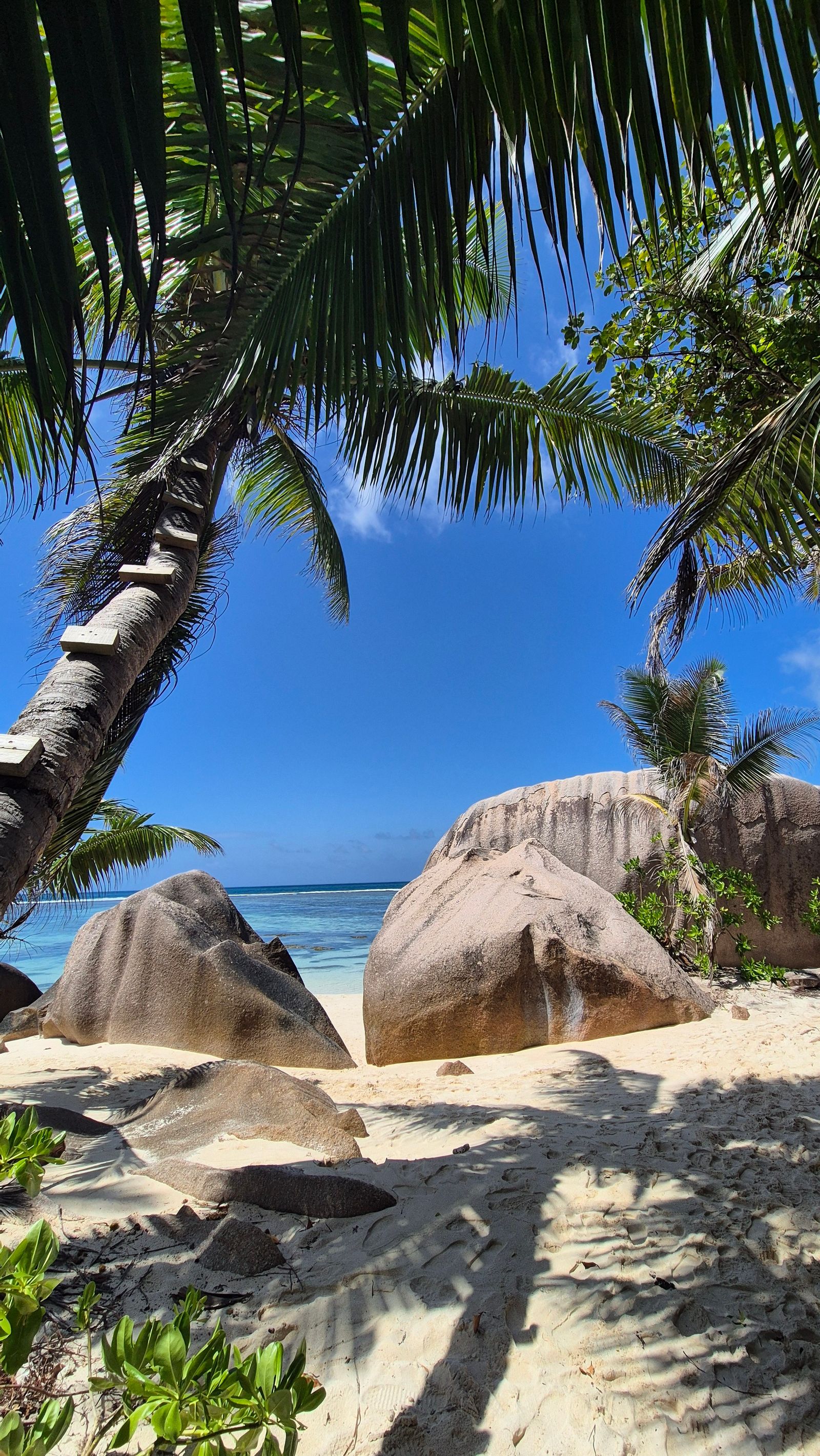 Seychelle-szigetek, Seychelles