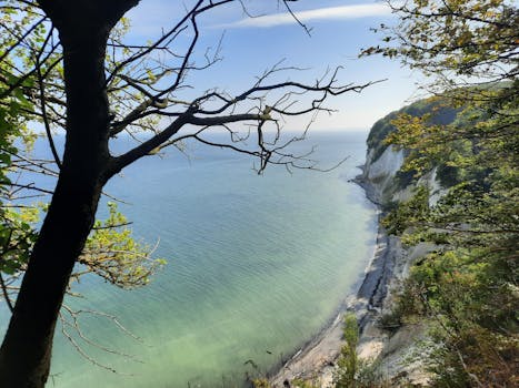 A beautiful cliff view overlooking a serene ocean coastline with lush green trees.