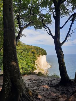 View of majestic chalk cliffs at Rügen through trees overlooking the sea.