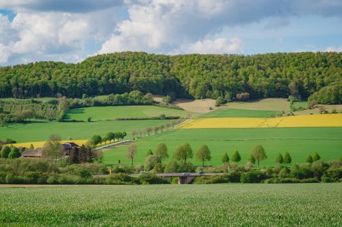Free A vibrant rural scene of lush fields and forests in Lower Saxony, Germany. Stock Photo