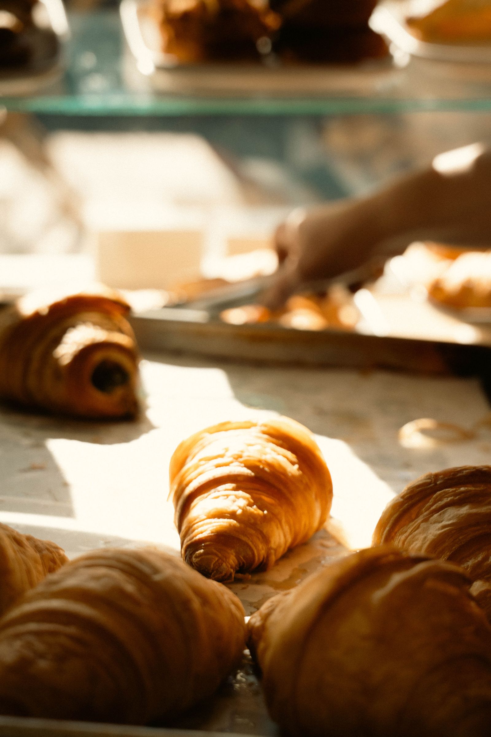 Golden croissants on a sunlit bakery tray