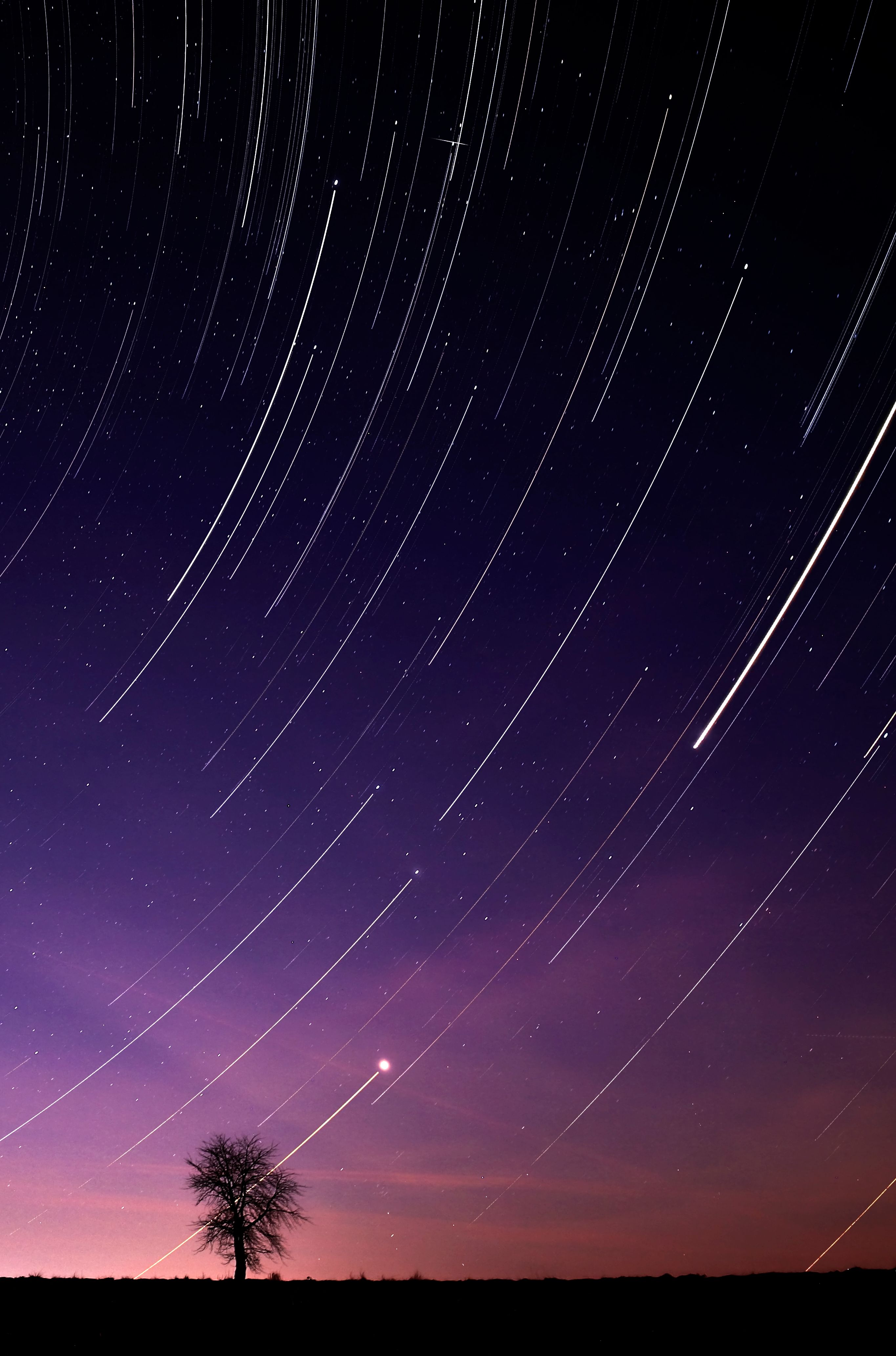 Vivid long exposure of star trails in a nighttime sky over a solitary tree.