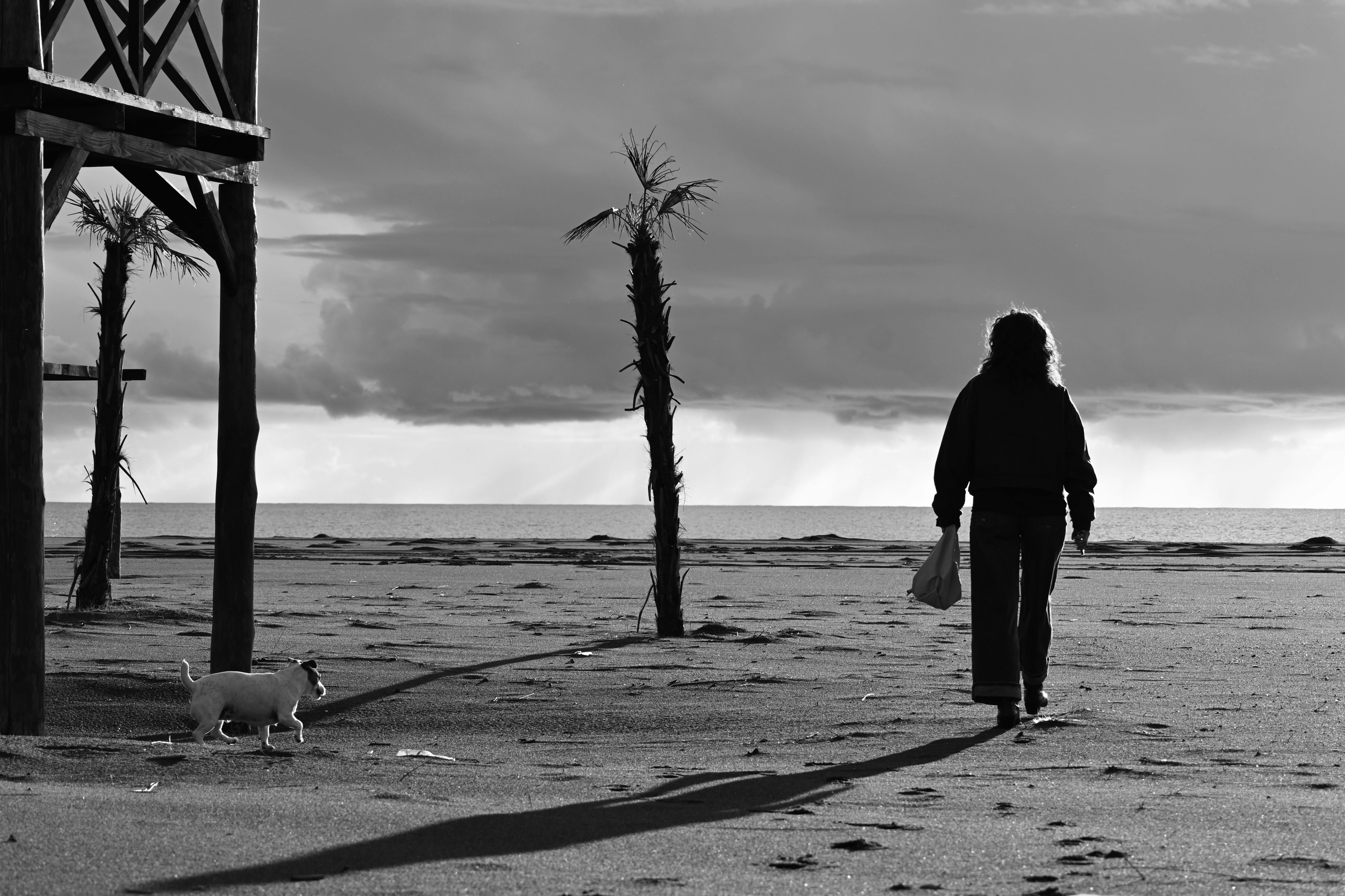 Dog walker preparing leash and gear before heading out
