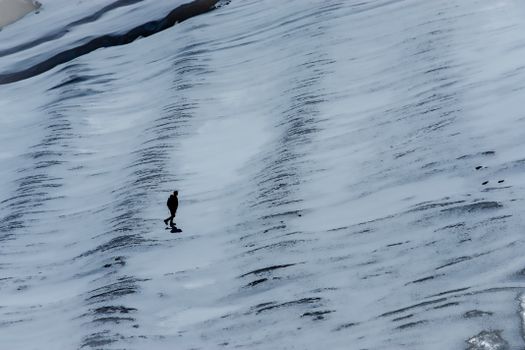 A lone figure navigates a vast snow-covered landscape, evoking solitude and adventure.