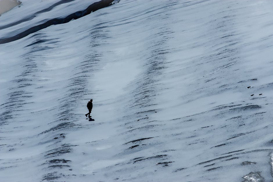 Challenges on the Path to Peace