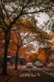 Moody autumn scene on a New York City street with fall foliage and urban architecture.