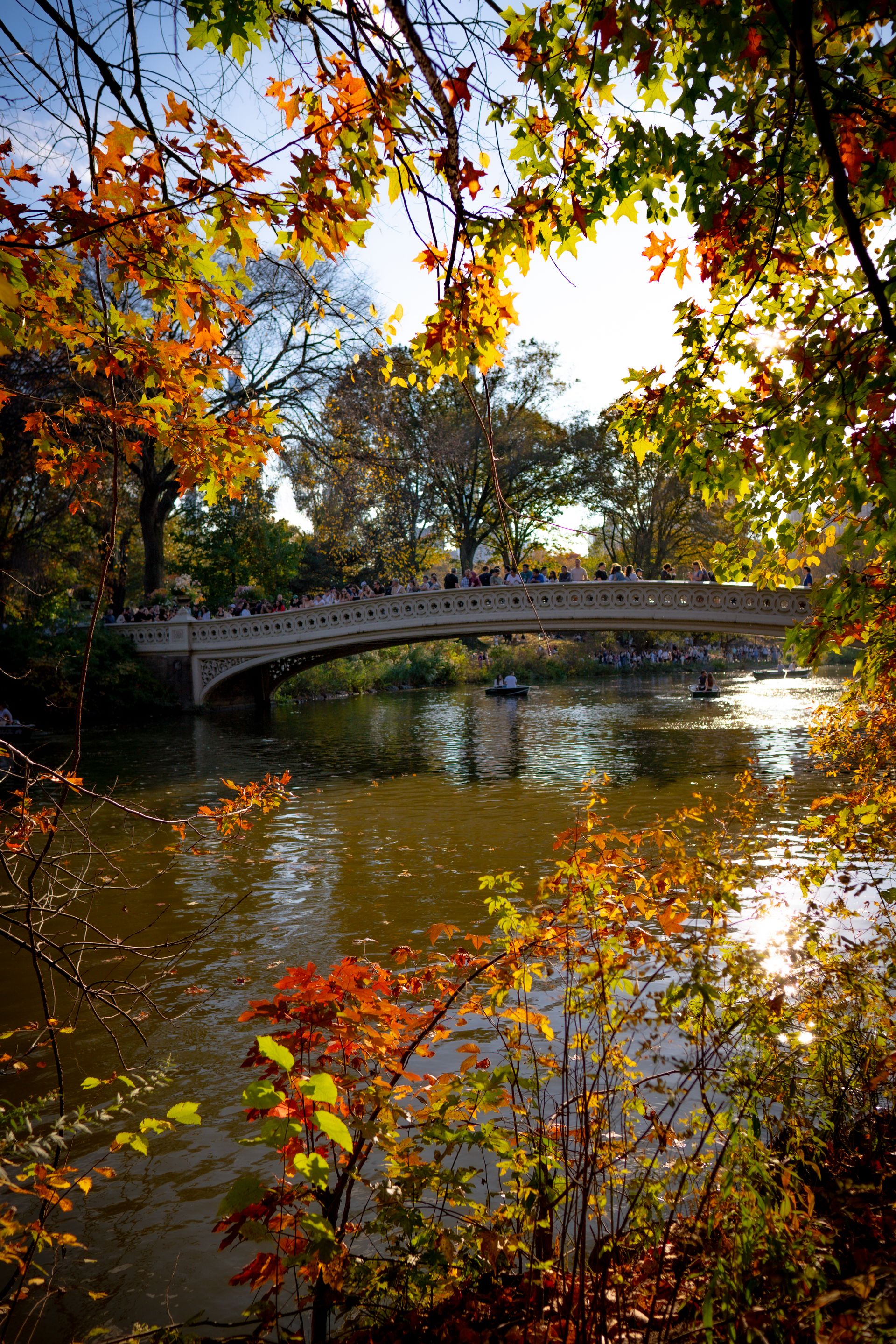Bow Bridge in Central Park surrounded by autumn foliage