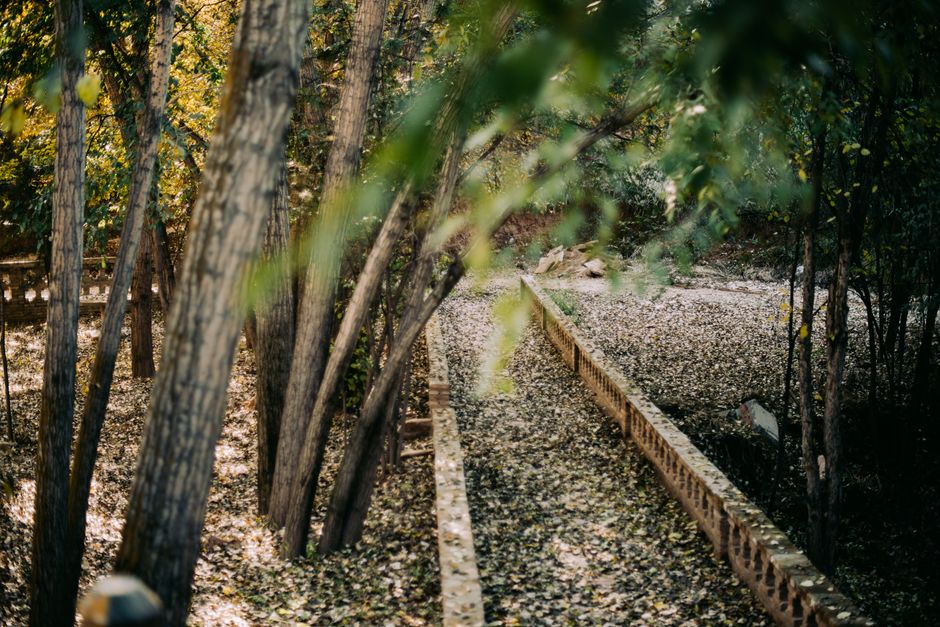 A tranquil forest path blanketed with autumn leaves, surrounded by trees.