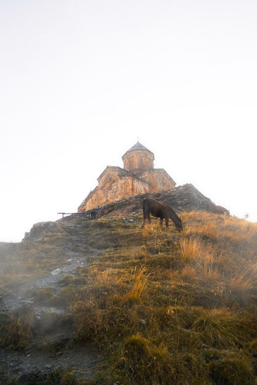 Δωρεάν στοκ φωτογραφιών με rock, άλογο, αυγή