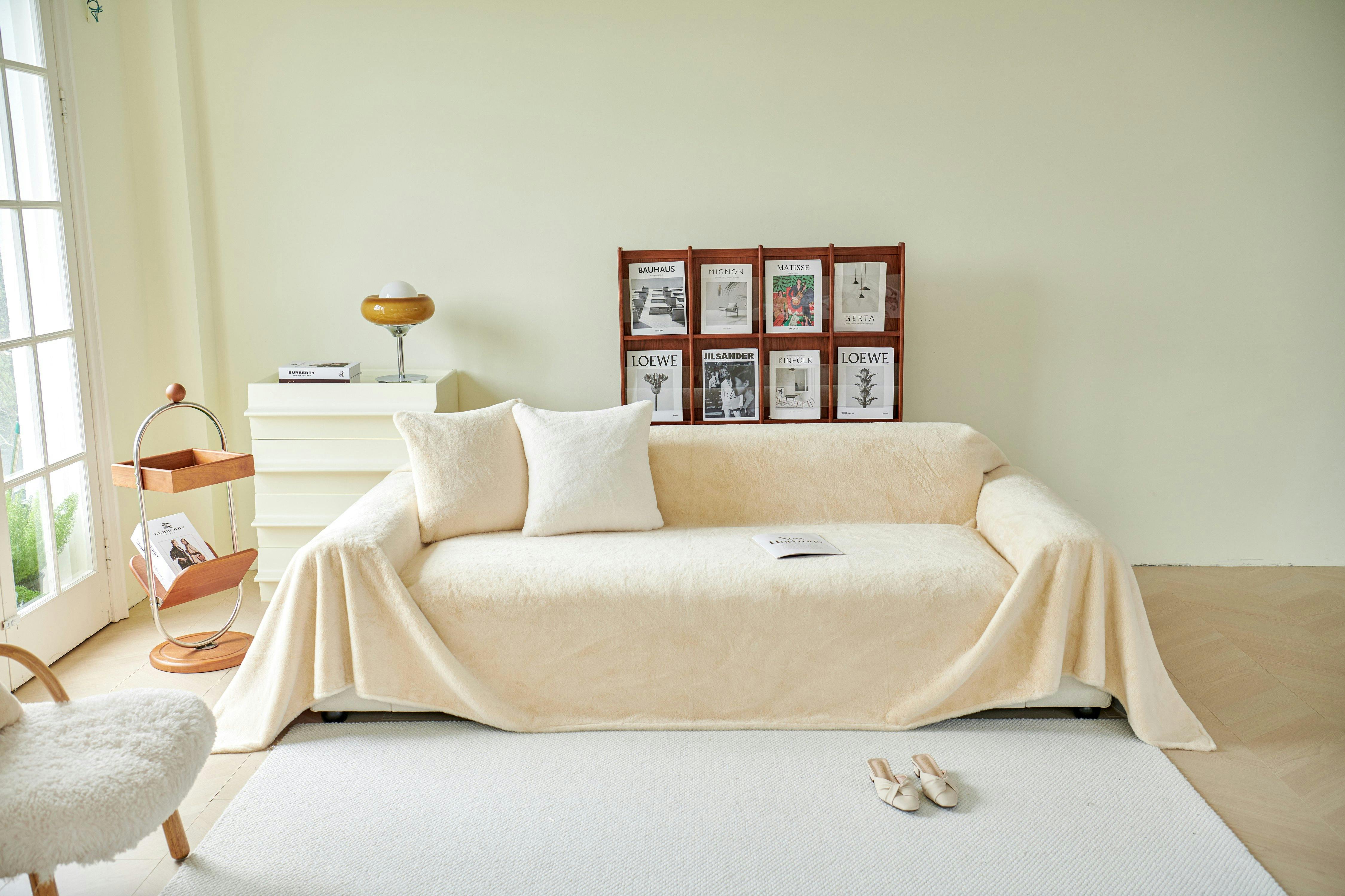 Tapczan w skandynawskim salonie z dwoma poduszkami siedziska w beżu