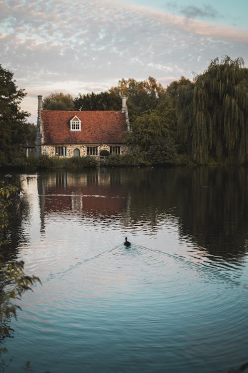 Een Huisje Huis Aan Een Rustig Water In De Buurt Van Groenbladige Bomen