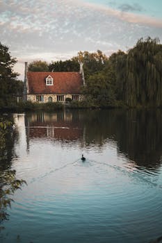 风景如画的湖边小屋倒映在宁静的池塘里，池塘中有一只鸭子，四周环绕着茂密的树叶