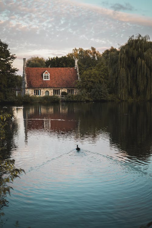 A Cottage House By A Calm Body of Water Near Green-leafed Trees