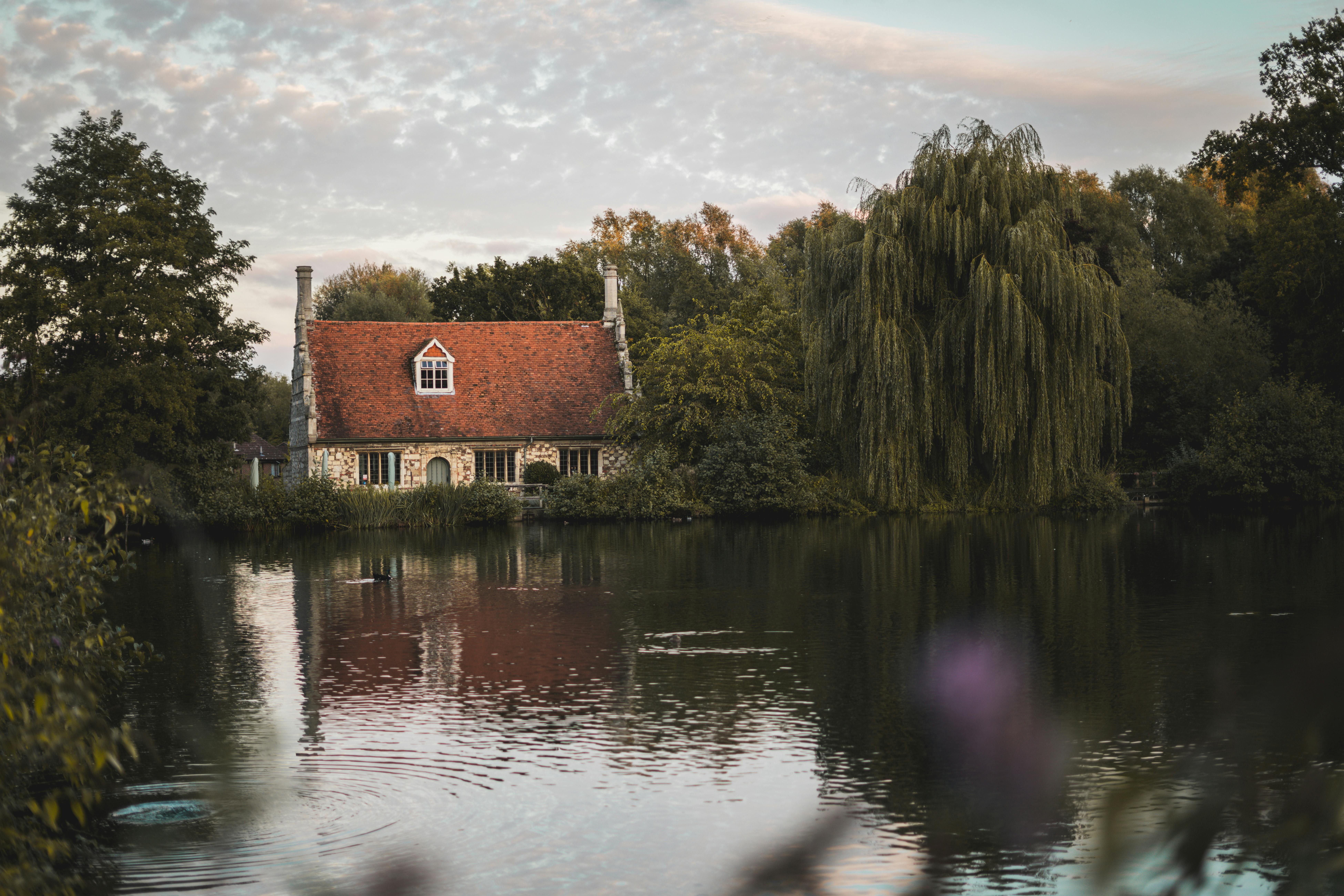 Free stock photo of duck, duck pond, house