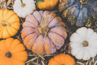 稻草上展示着各种颜色和形状、充满活力的南瓜，是完美的秋季主题