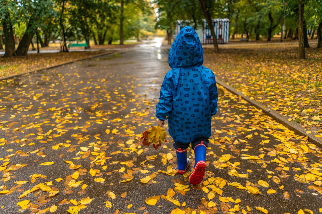 Free Photo of Kid Wearing Raincoat While Walking on Park Stock Photo