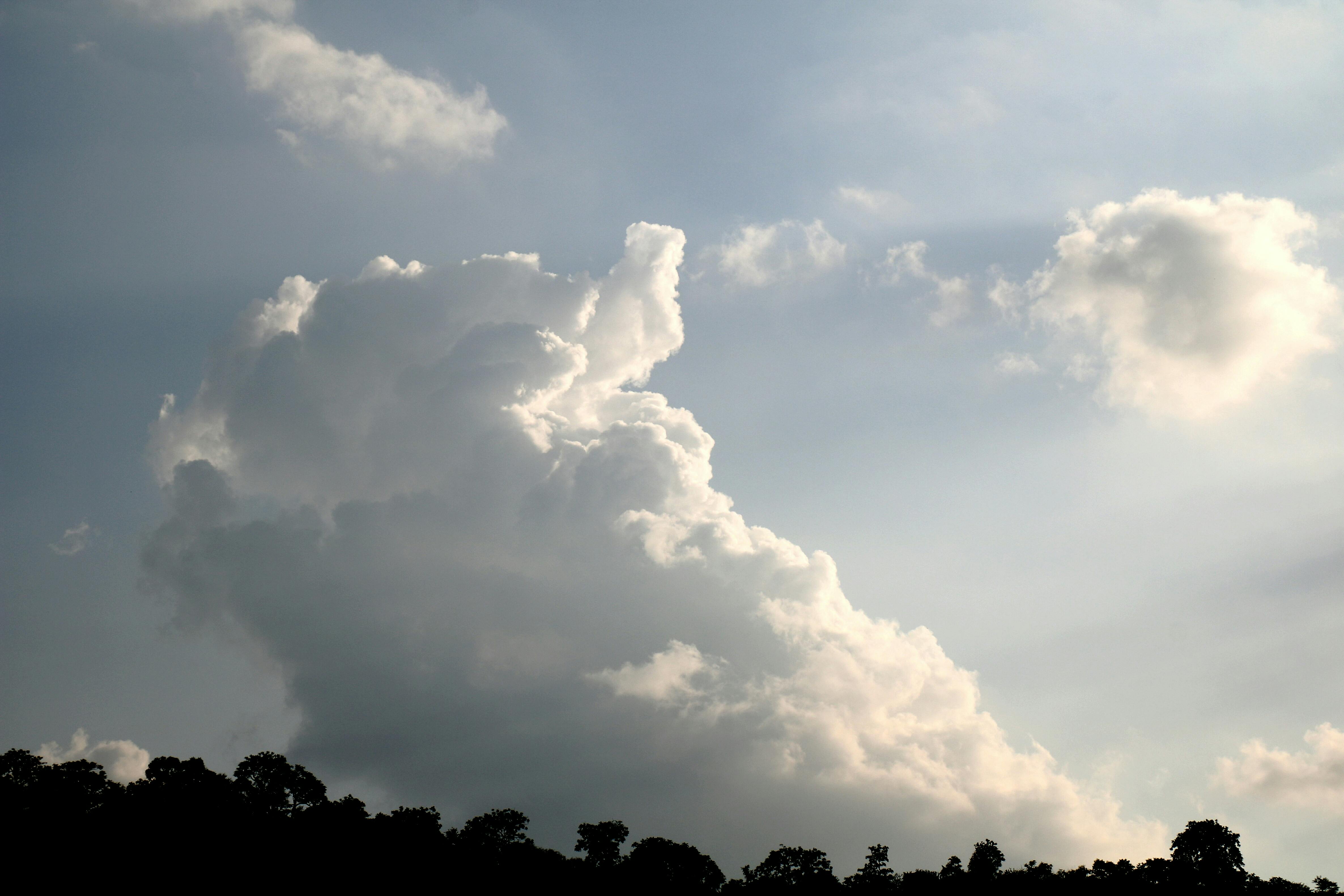 Photo by Disha Sheta