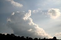 Picturesque landscape scenery of white fluffy clouds in bright sunlight over woods in forest