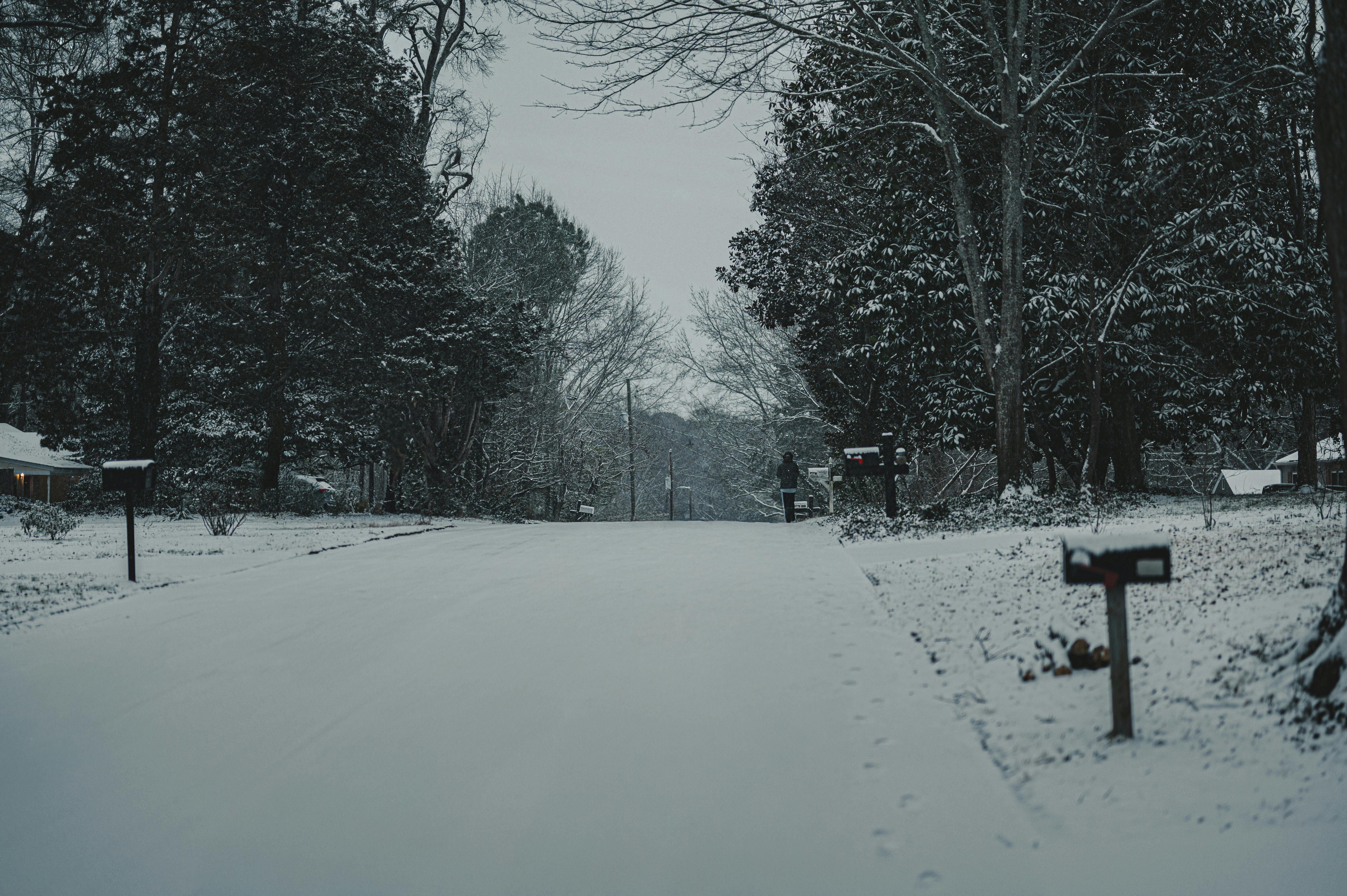 A serene winter scene with a snow-covered street in Atlanta, Georgia, surrounded by trees.
