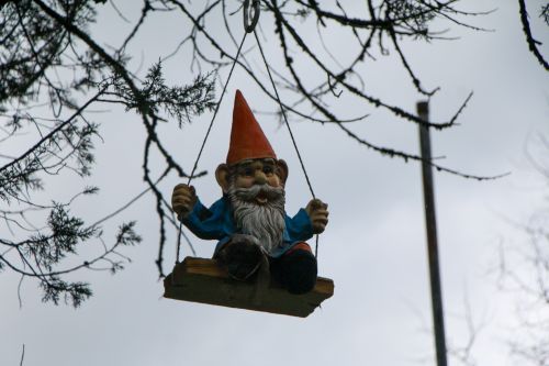 Free A garden gnome with red hat swings playfully from a tree branch. Stock Photo