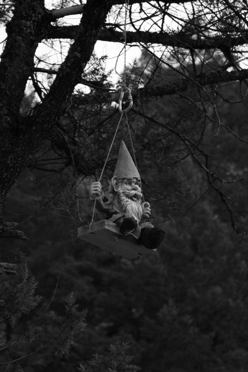 Free A playful garden gnome sitting on a swing hanging from a tree branch in a dark forest setting. Stock Photo