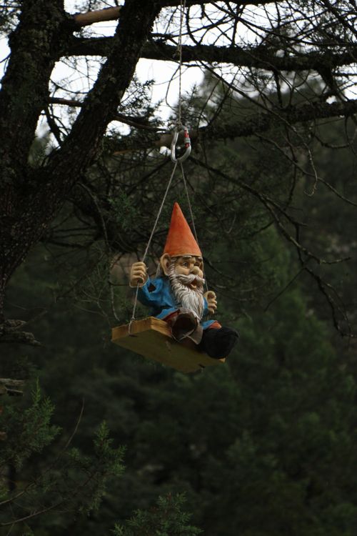 Free Whimsical garden gnome swinging from a tree in the forest, emitting charm. Stock Photo