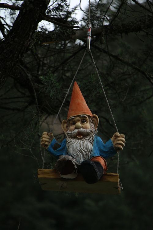 Free A cheerful garden gnome with an orange hat sits playfully on a swing amid dense forest greenery. Stock Photo