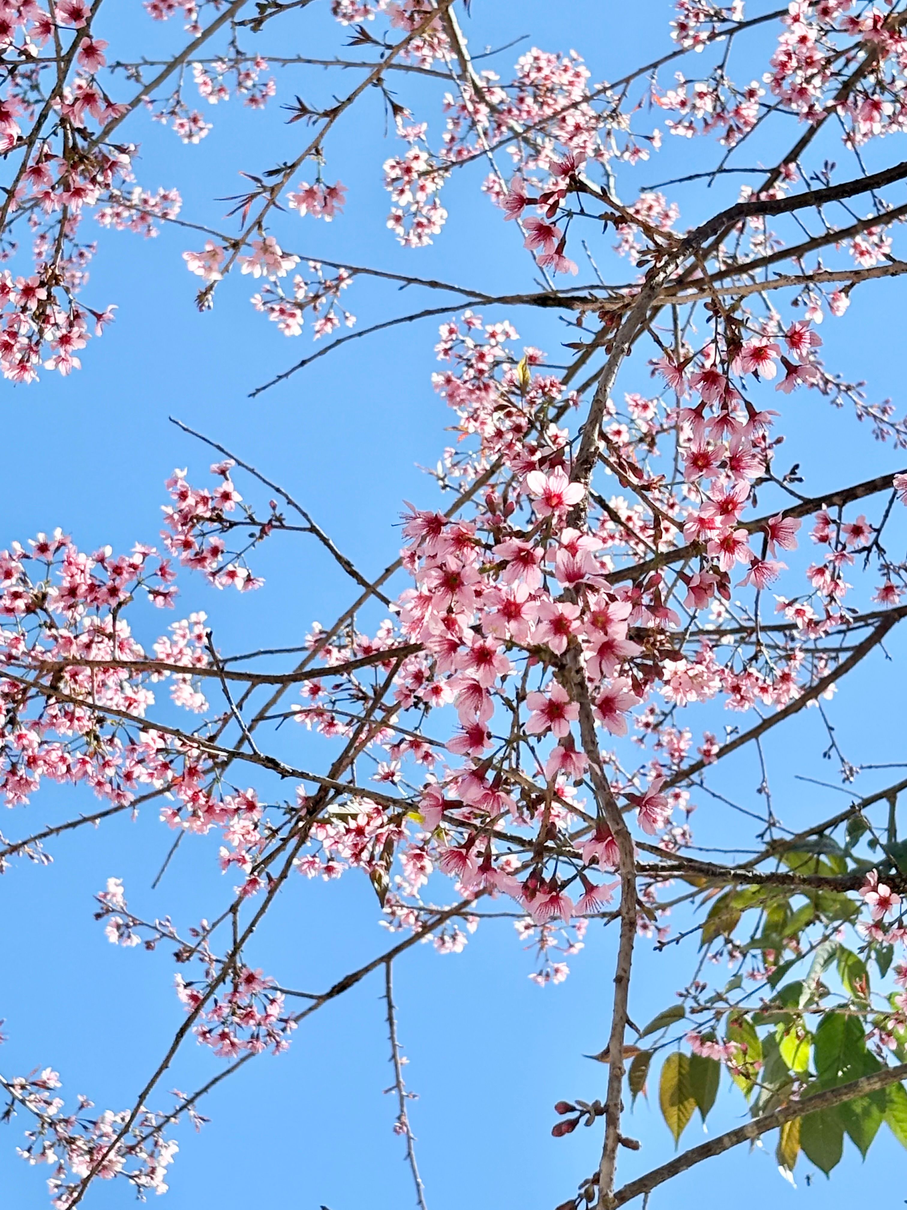 April Promo Photos, Download The BEST Free April Promo Stock Photos ...