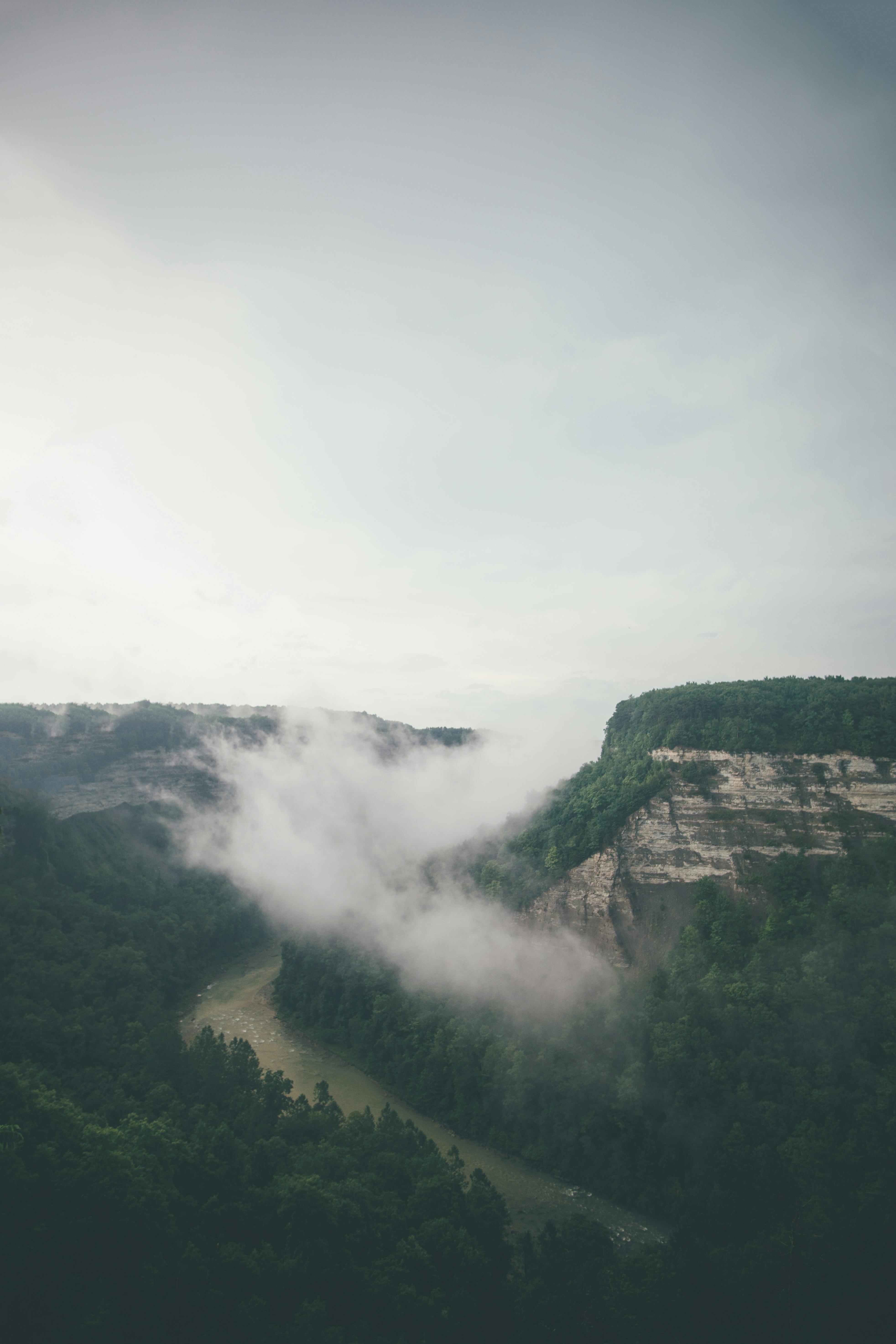在一个平静的早晨，薄雾笼罩着宁静的峡谷，郁郁葱葱的绿树若隐若现