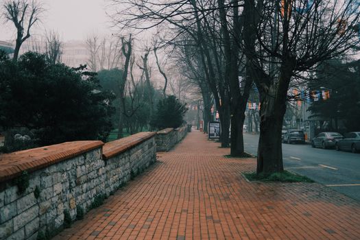 Foggy urban street with a brick pathway and bare trees, evoking a moody atmosphere.