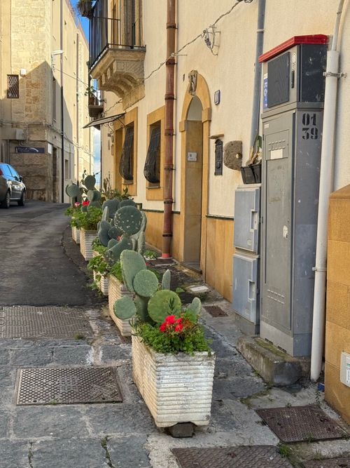 Free Idyllic Italian street adorned with cactus planters, showcasing rustic architecture. Stock Photo