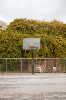 Outdoor basketball court with a hoop and overgrown foliage, creating an urban aesthetic.