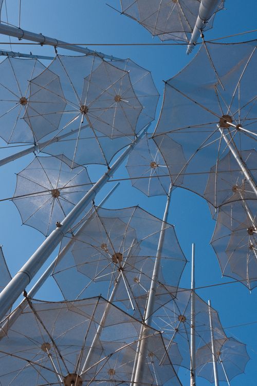Free Blue Umbrellas Stock Photo