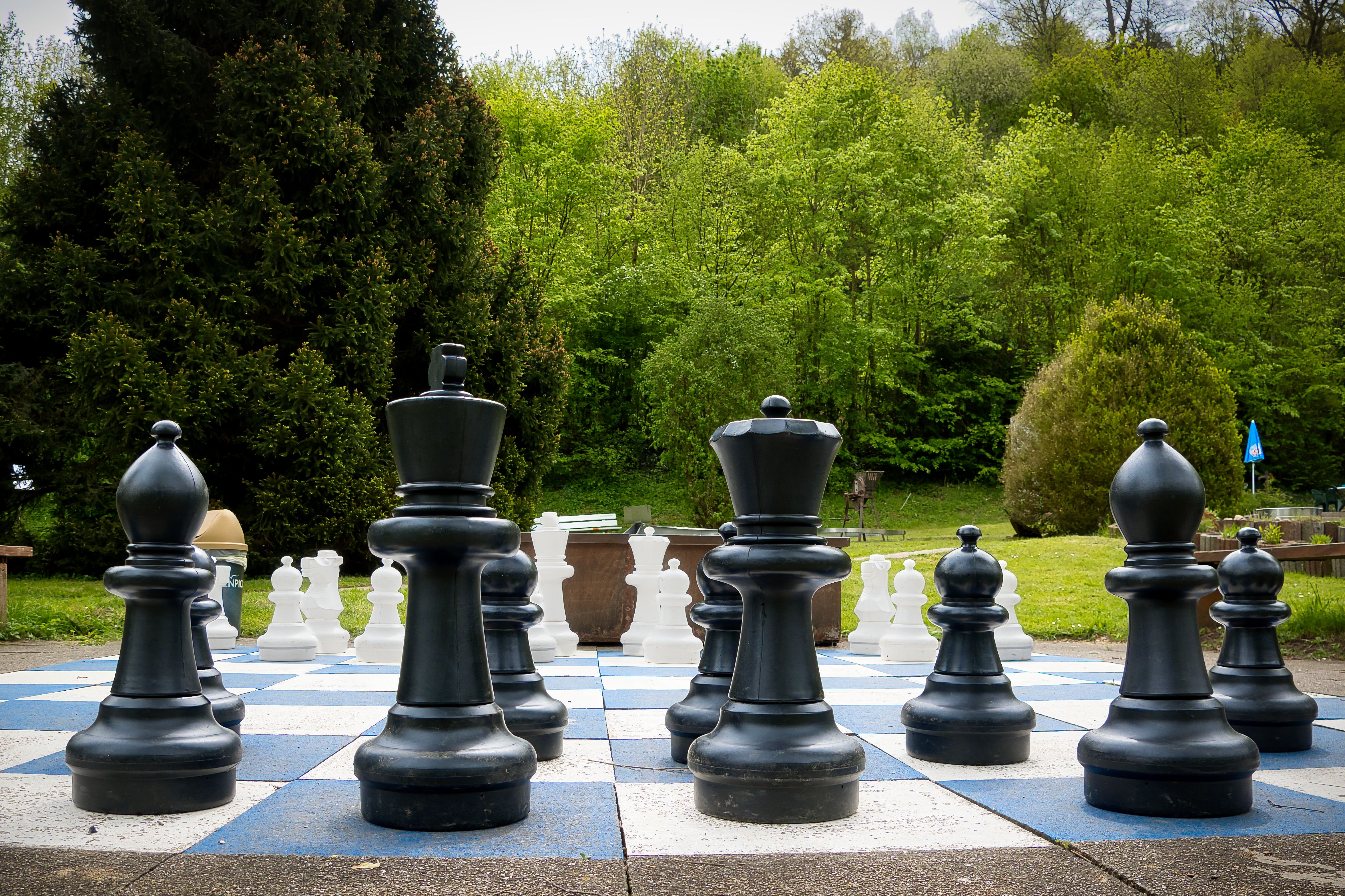 The College-Admissions Chess Game Is More Complicated Than Ever — Photo by Joerg Hartmann on Pexels
