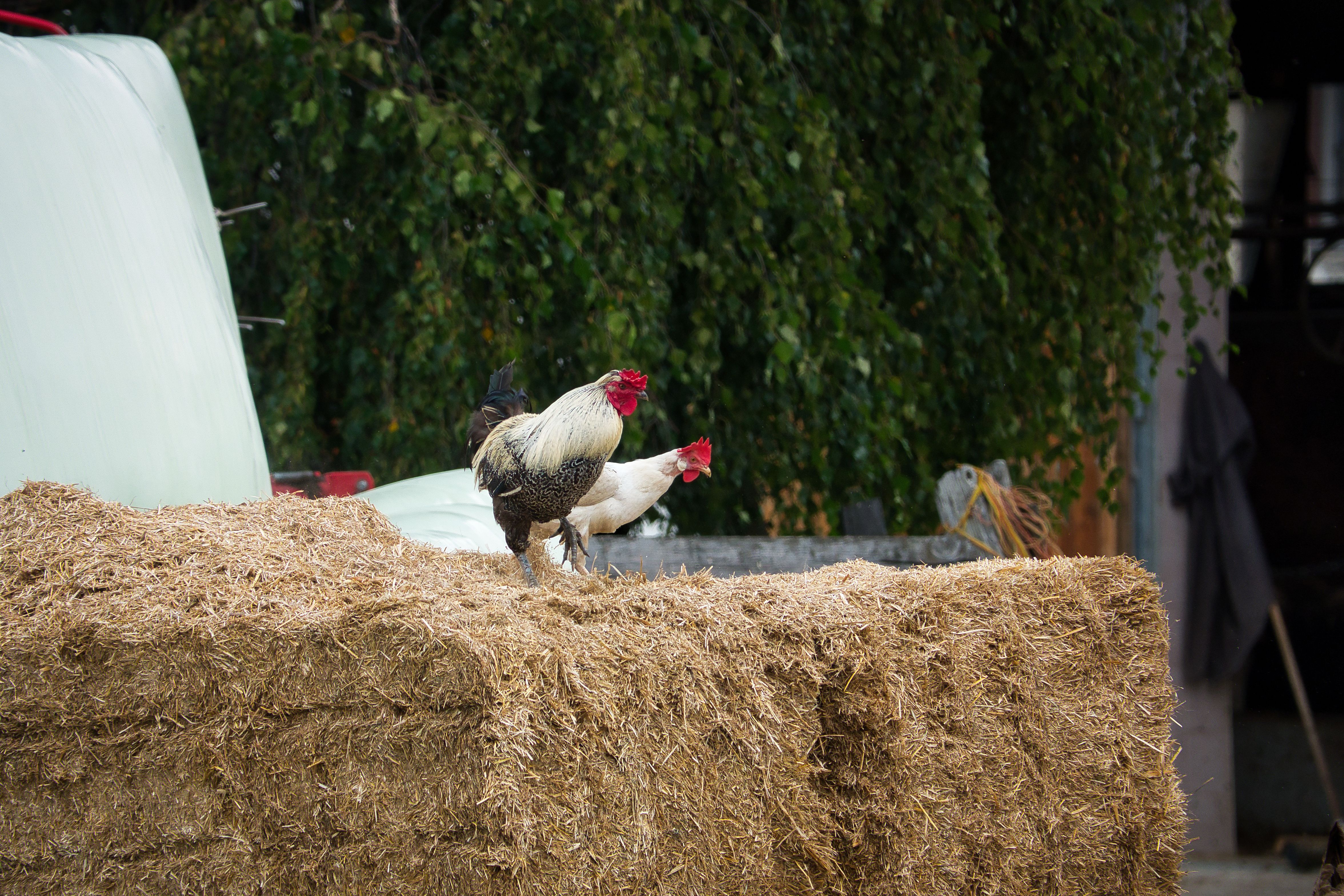 a group of people holding signs in a protest