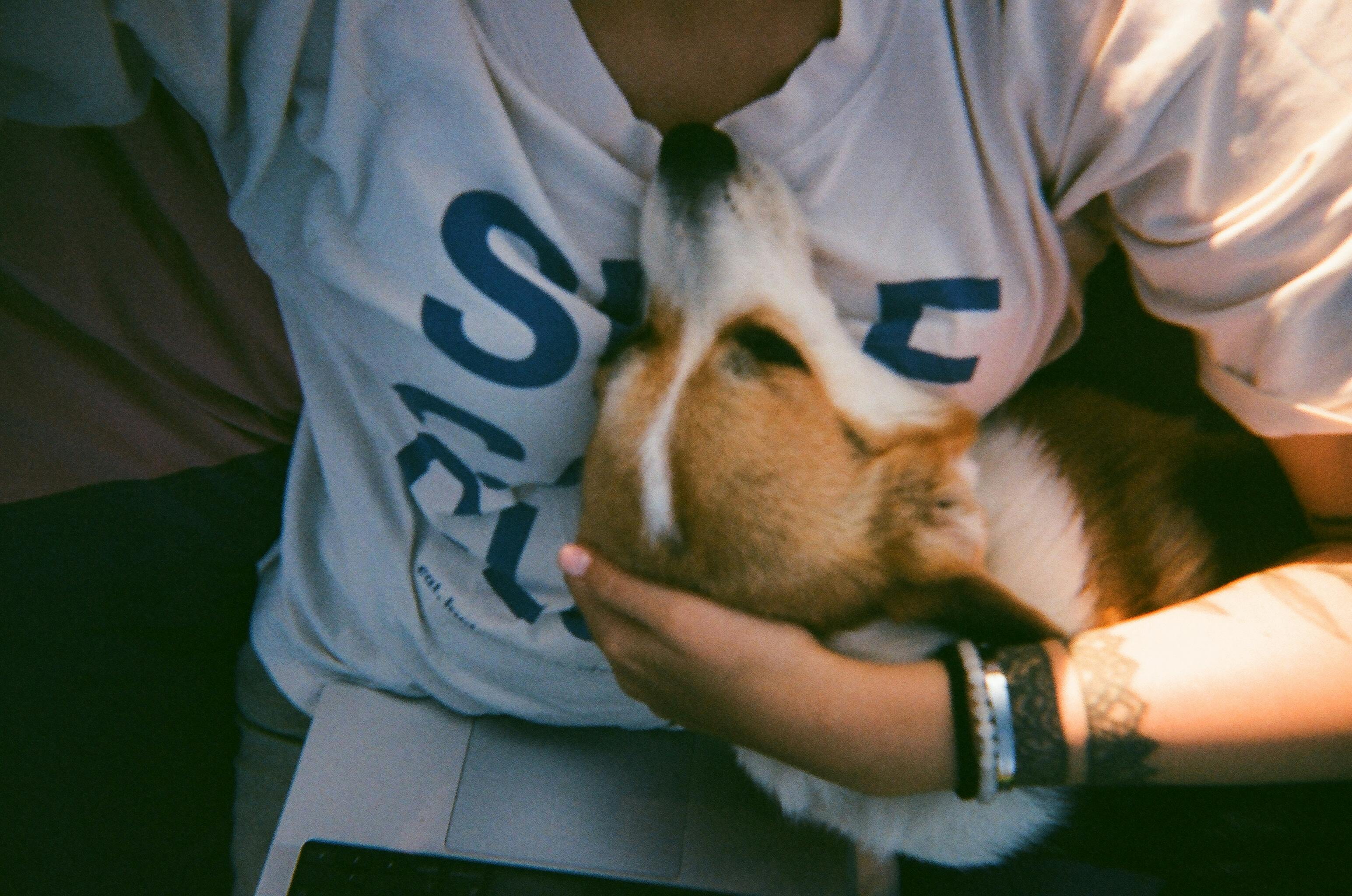 Latina-Founded Pet Lifestyle Brand Bundle x Joy Expands into PetSmart Stores Nationwide — Photo by Maria Suslova on Pexels