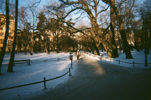 Free A serene winter scene in a Krakow park with sunlight filtering through bare trees. Stock Photo
