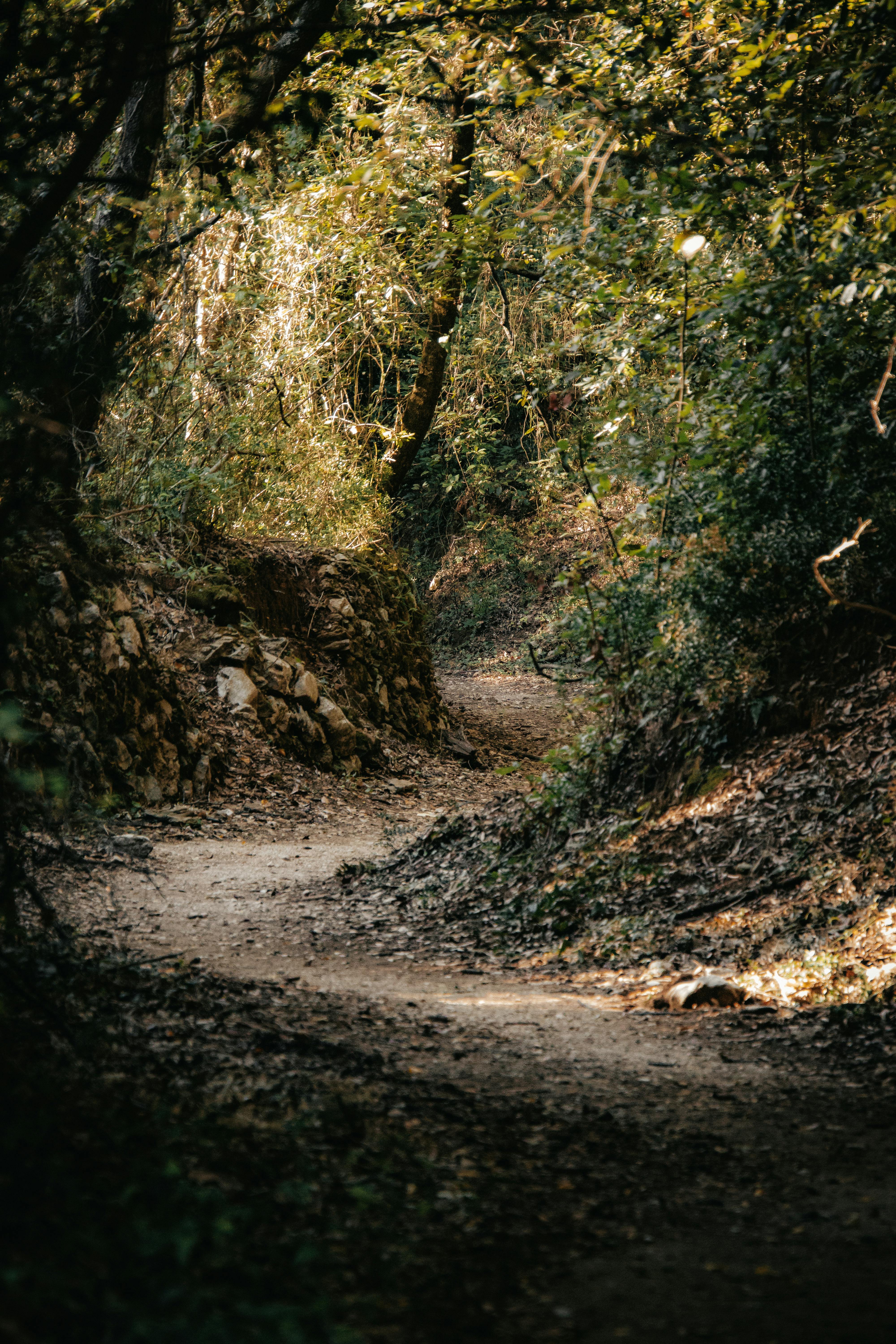 What Makes Nina Marylebone So Special? Discover 10 Hidden Treasures Off the Beaten Path