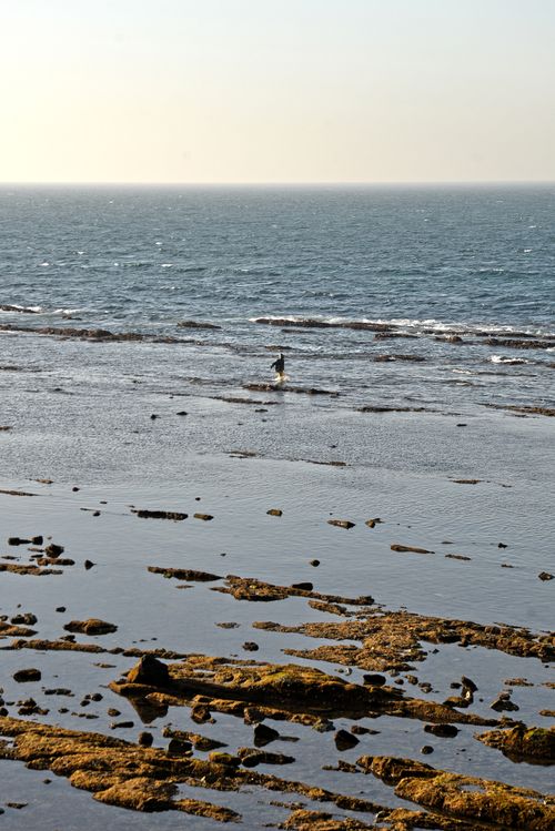 Free A lone person stands on a rocky shore during low tide, facing the vast ocean. Stock Photo