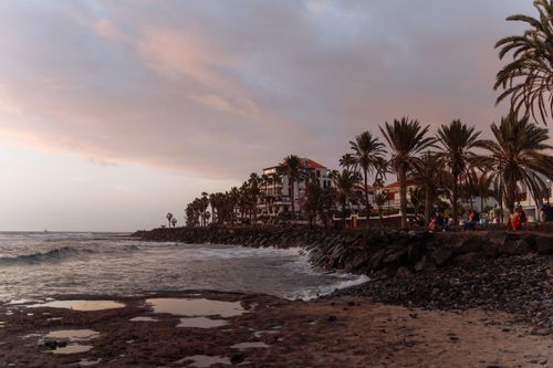 Free Tranquil sunset view of a coastal promenade with palm trees in the Canary Islands, Spain. Stock Photo