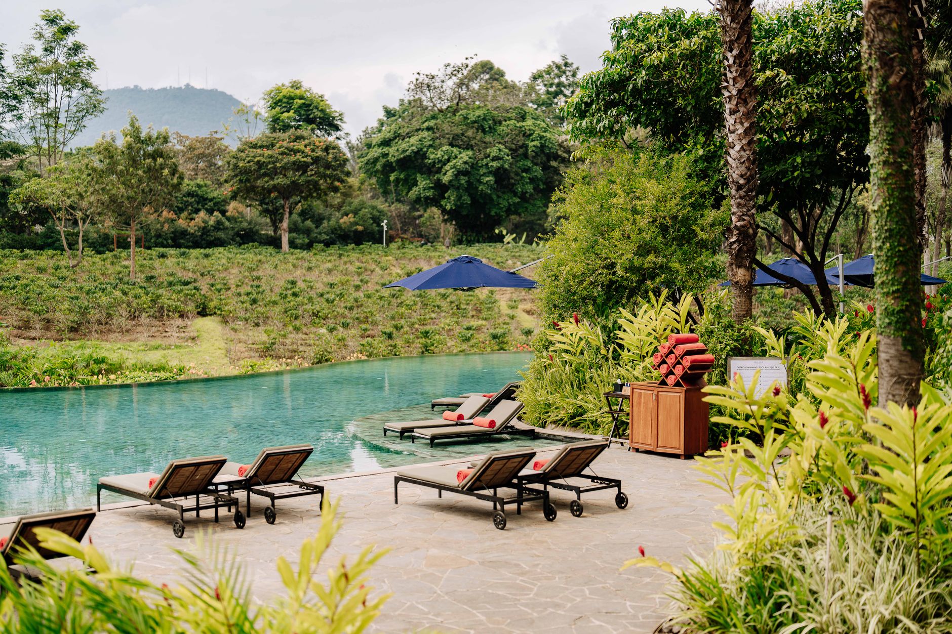 Coorg Luxury Hotels: Where to Stay for Comfort and Elegance