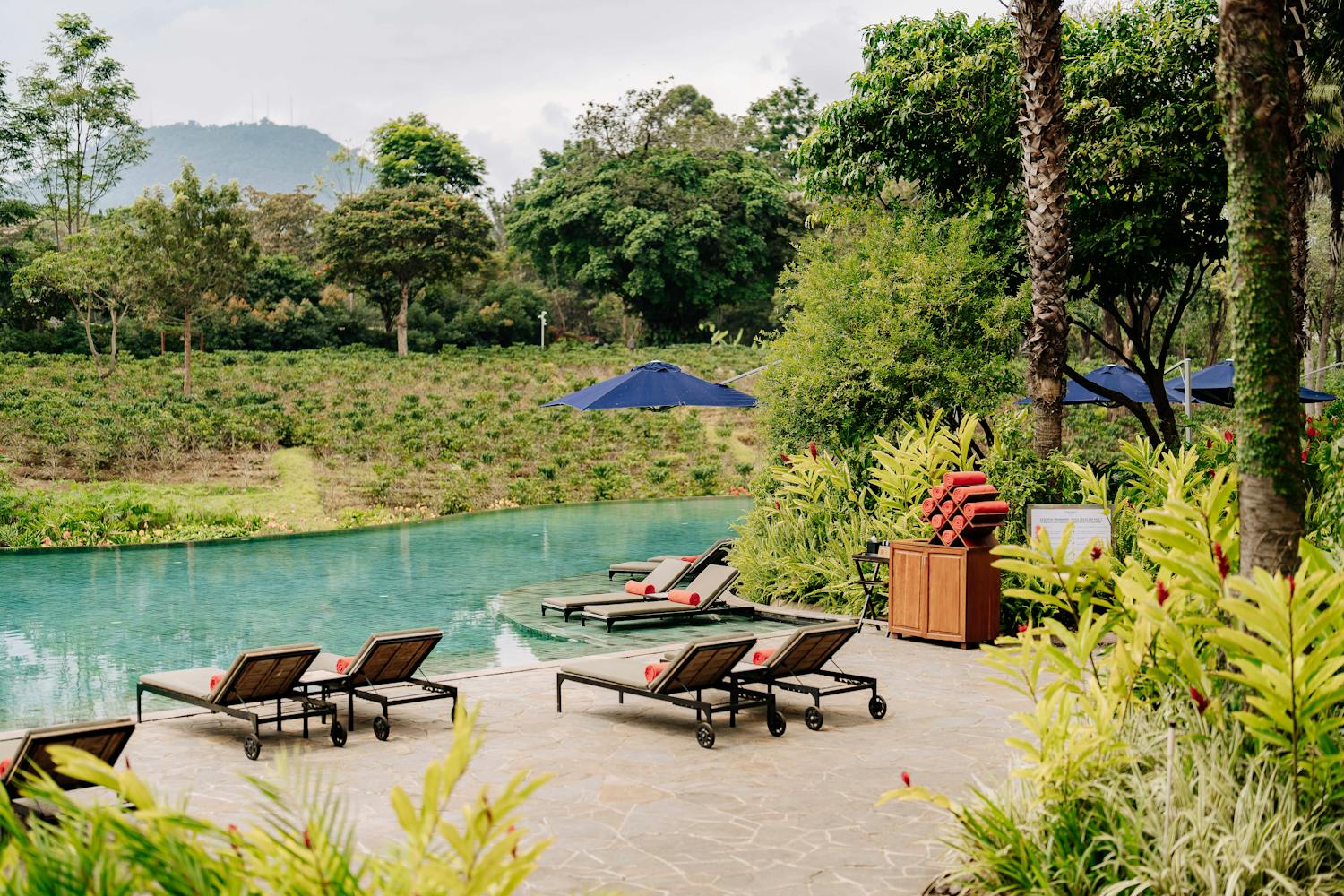 Emerald Jungle Retreat