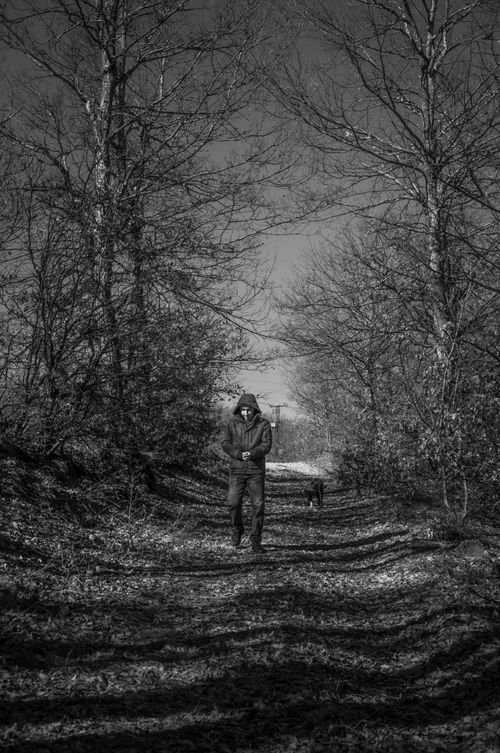 Free Man walking a dog in a serene forest, black and white photography Stock Photo