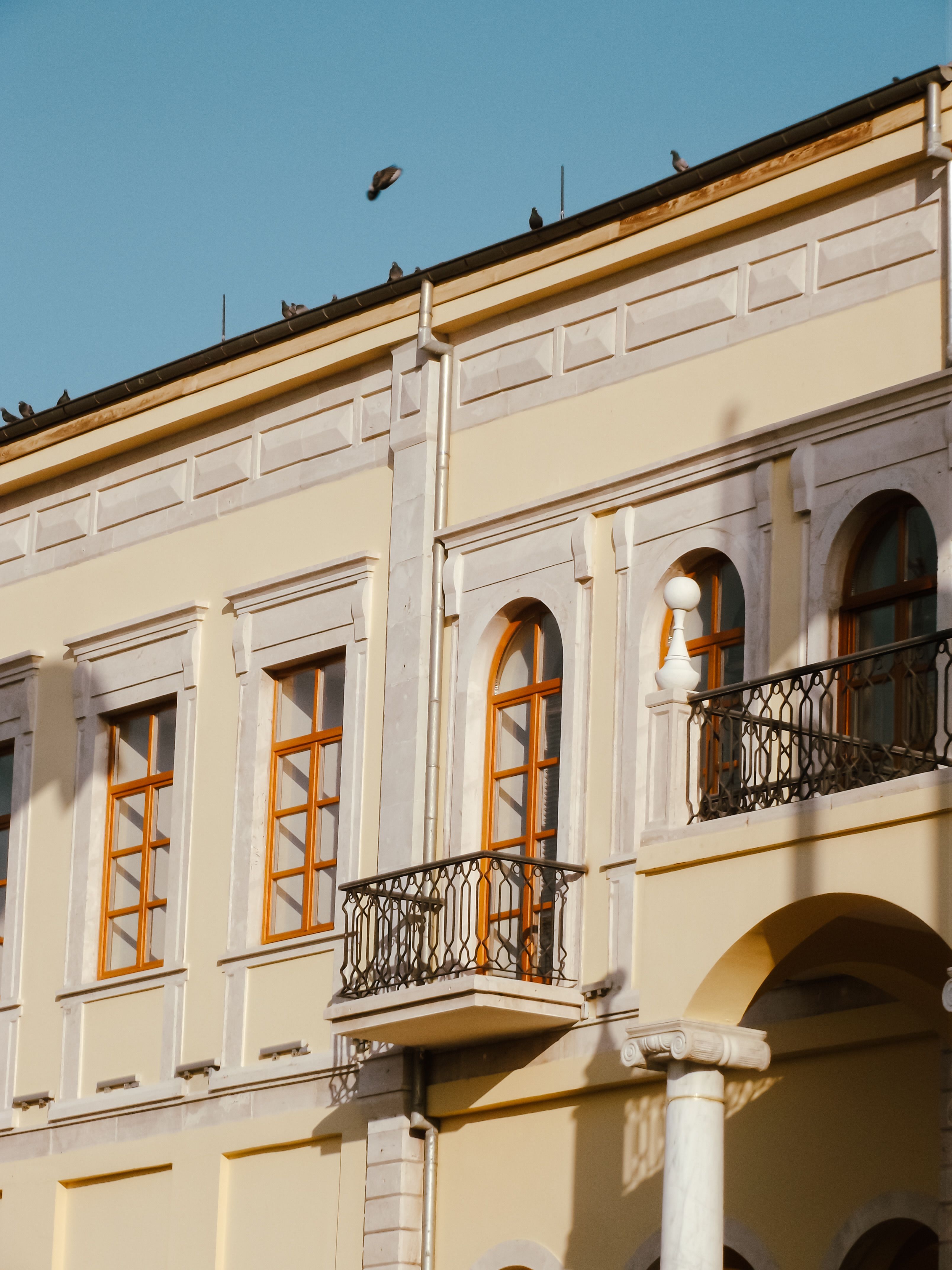 Historic Building Architecture with Birds in Flight · Free Stock Photo