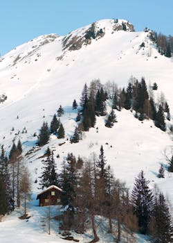 Snow-covered mountain scene with a cozy cabin and evergreen trees in Carinthia, Austria.