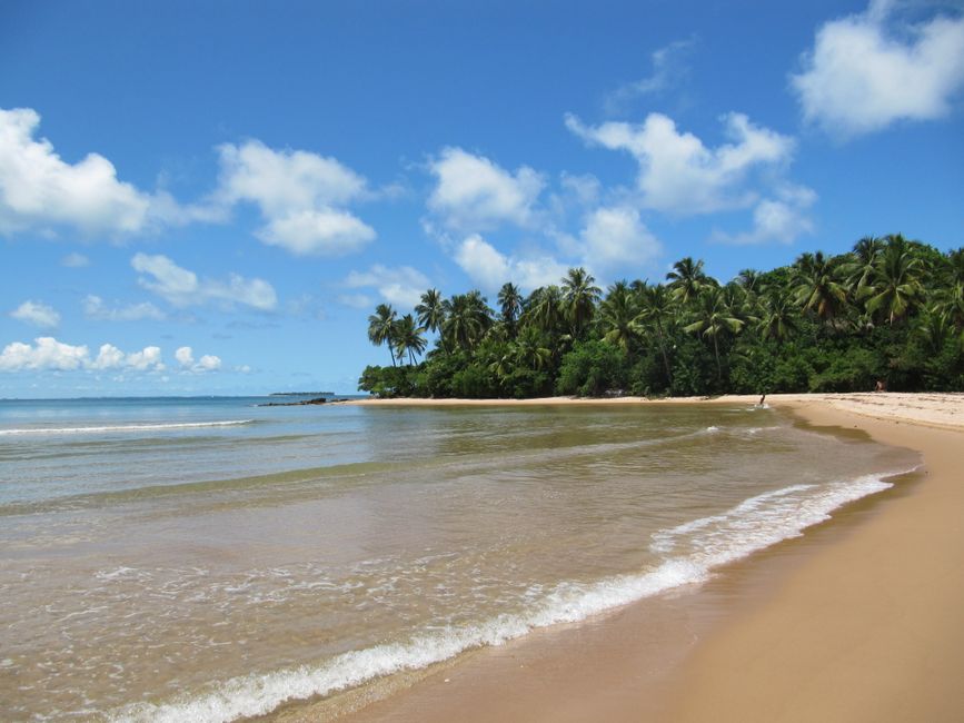 Pine Grove Beach