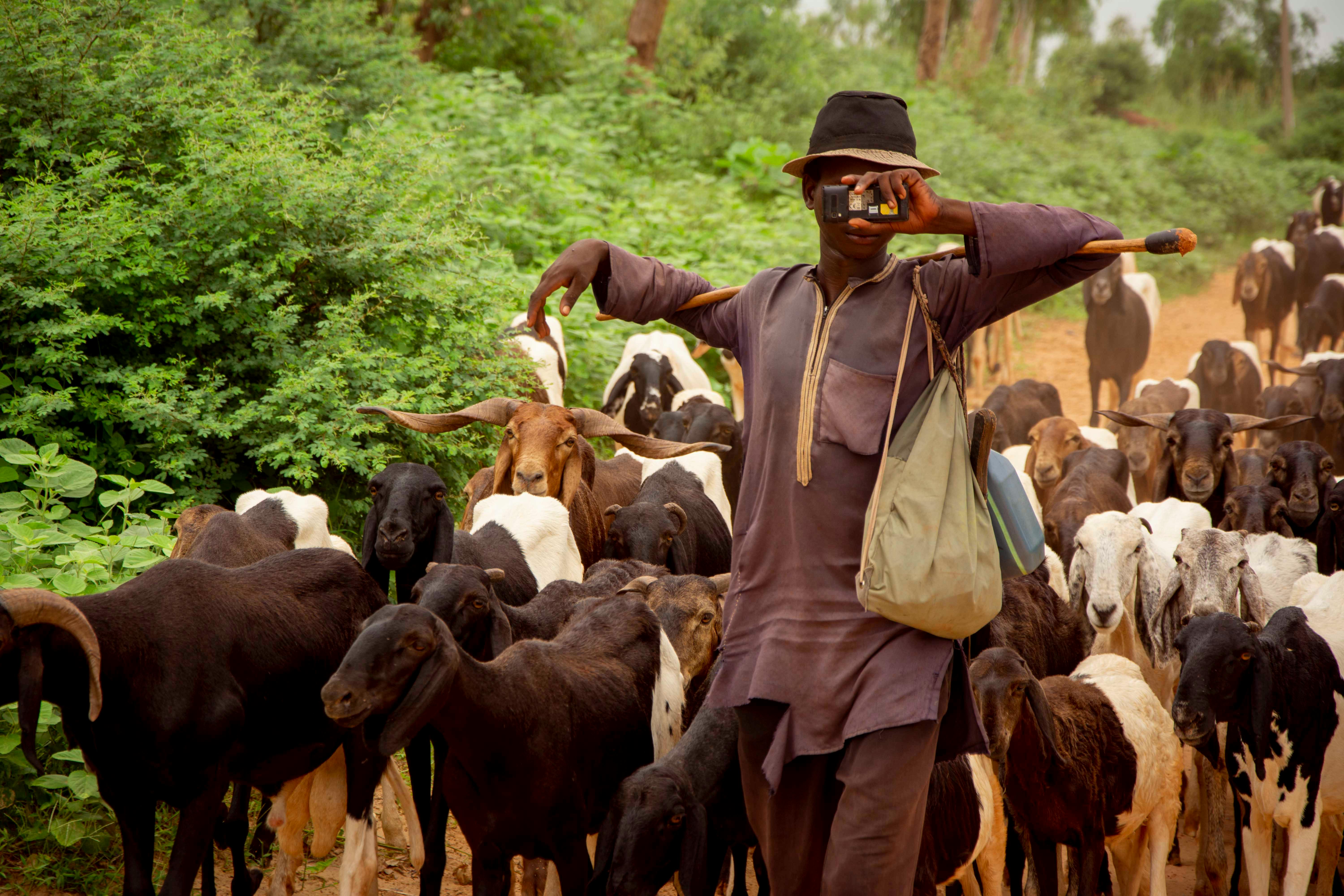 Cultural beliefs deter fight against anthrax